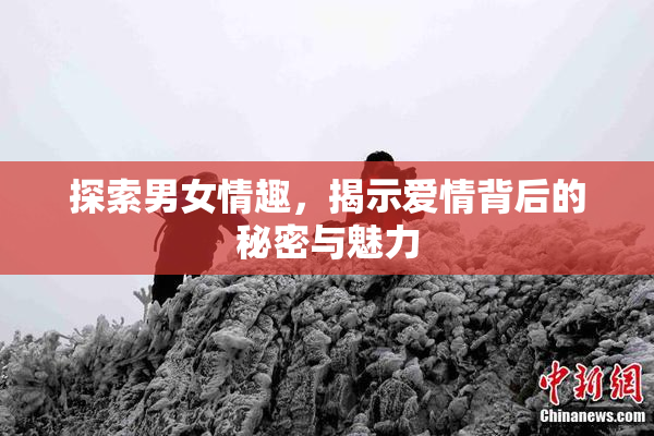 探索男女情趣，揭示爱情背后的秘密与魅力