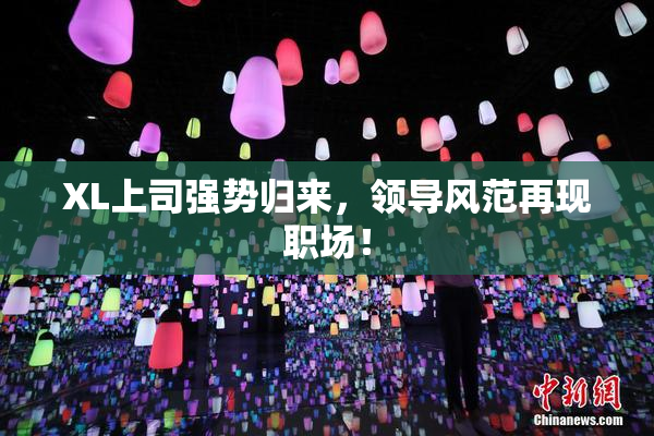 XL上司强势归来，领导风范再现职场！