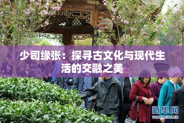 少司缘张：探寻古文化与现代生活的交融之美