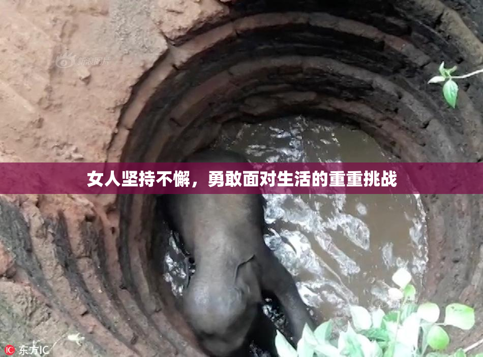 女人坚持不懈，勇敢面对生活的重重挑战