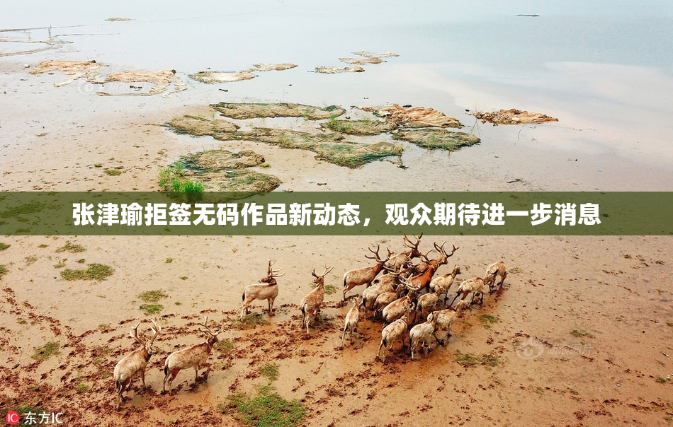 张津瑜拒签无码作品新动态，观众期待进一步消息