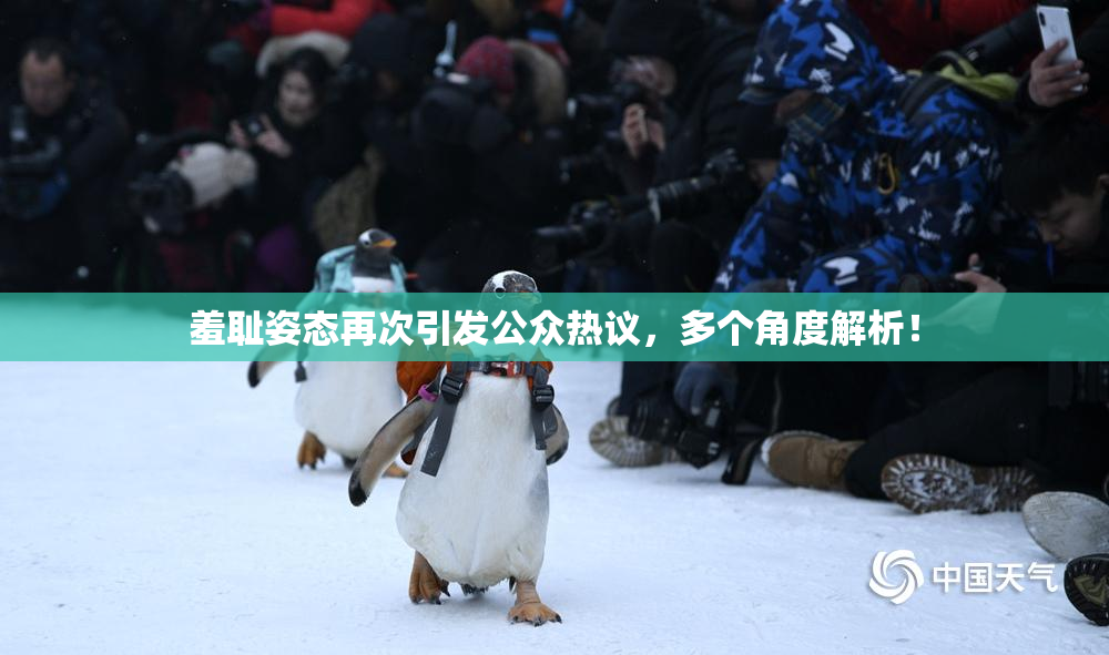 羞耻姿态再次引发公众热议，多个角度解析！