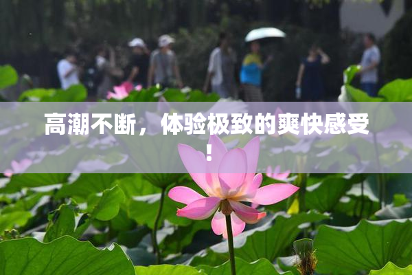 高潮不断，体验极致的爽快感受！