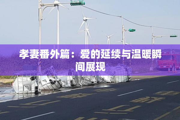 孝妻番外篇：爱的延续与温暖瞬间展现