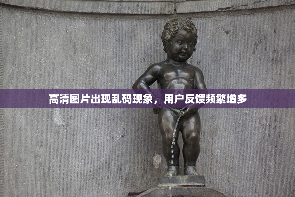 高清图片出现乱码现象，用户反馈频繁增多