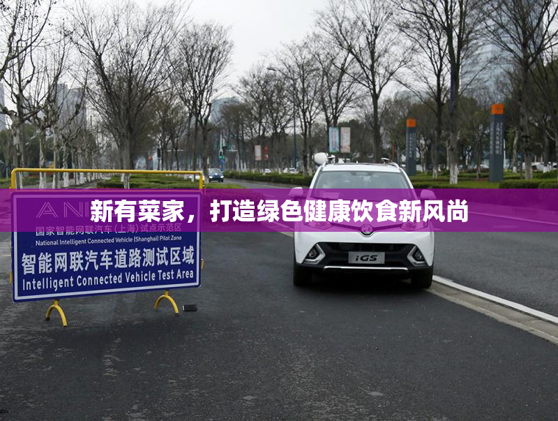 新有菜家，打造绿色健康饮食新风尚