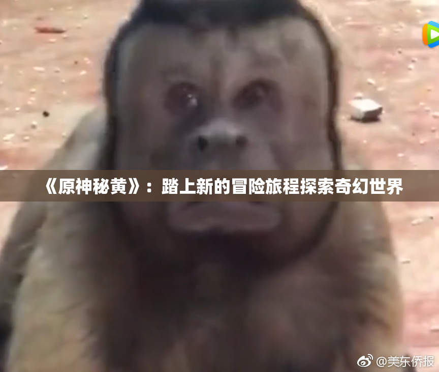 《原神秘黄》：踏上新的冒险旅程探索奇幻世界