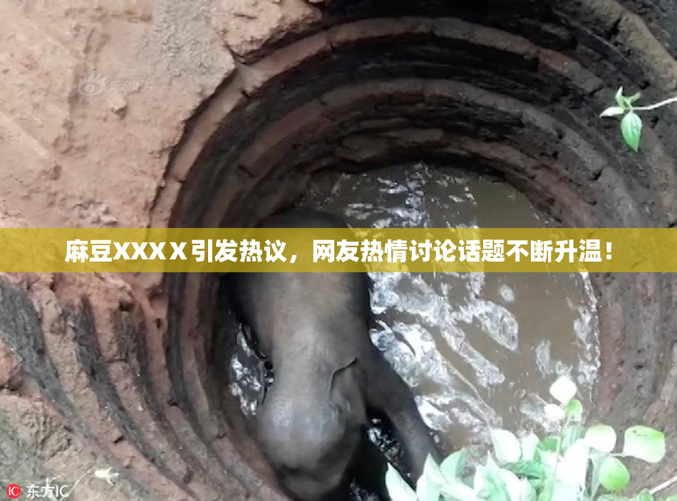 麻豆XXXⅩ引发热议，网友热情讨论话题不断升温！