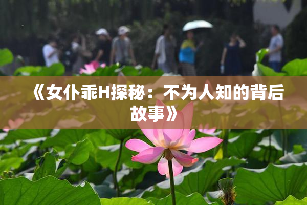 《女仆乖H探秘：不为人知的背后故事》