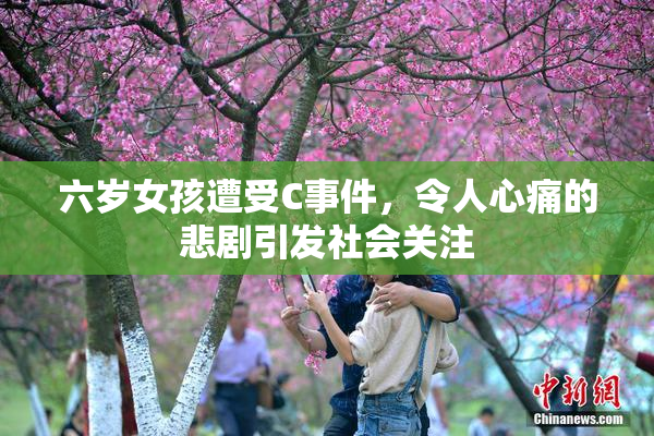 六岁女孩遭受C事件，令人心痛的悲剧引发社会关注