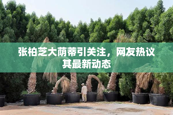 张柏芝大荫蒂引关注，网友热议其最新动态