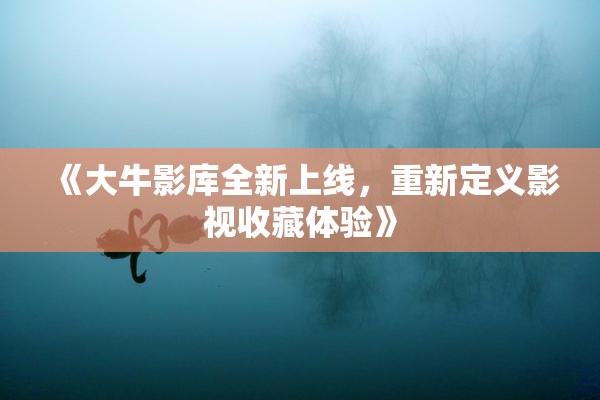 《大牛影库全新上线，重新定义影视收藏体验》