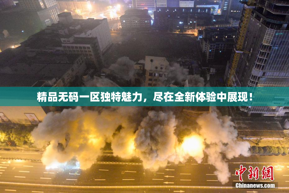精品无码一区独特魅力，尽在全新体验中展现！