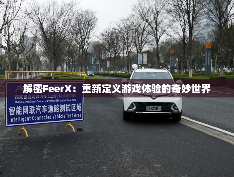 解密FeerX：重新定义游戏体验的奇妙世界