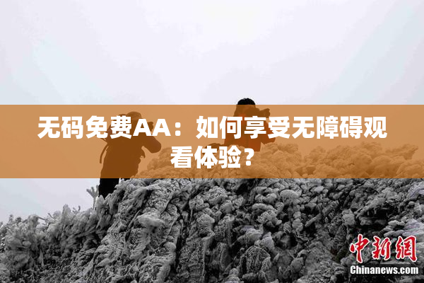 无码免费AA：如何享受无障碍观看体验？