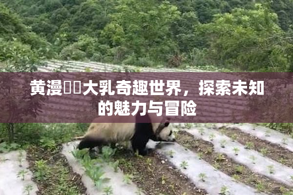 黄漫❌‌大乳奇趣世界，探索未知的魅力与冒险