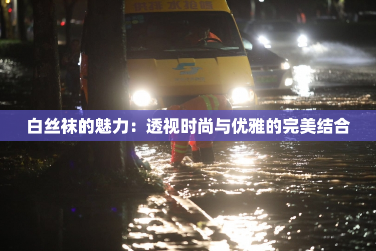 白丝袜的魅力：透视时尚与优雅的完美结合