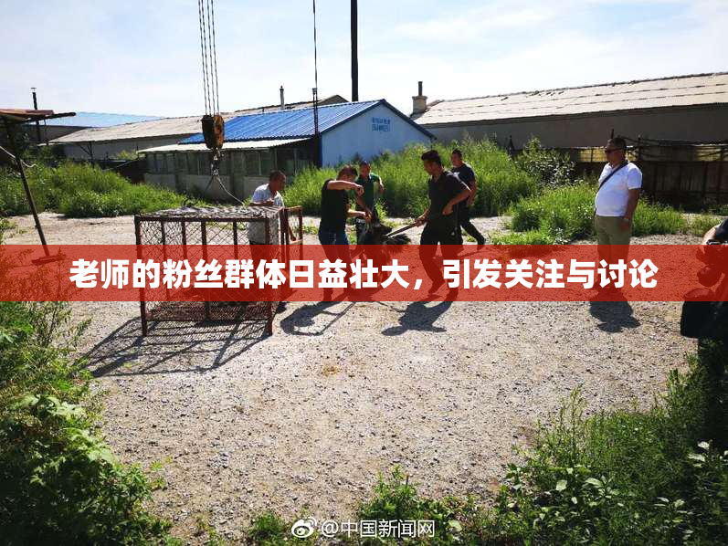 老师的粉丝群体日益壮大，引发关注与讨论