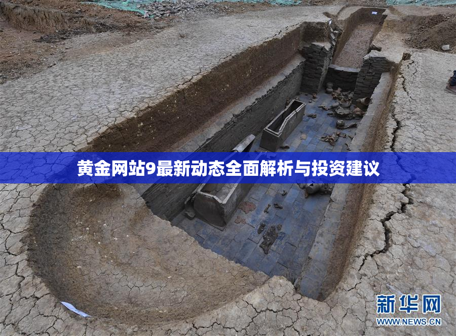 黄金网站9最新动态全面解析与投资建议