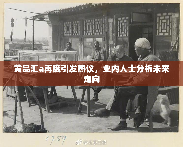 黄品汇a再度引发热议，业内人士分析未来走向