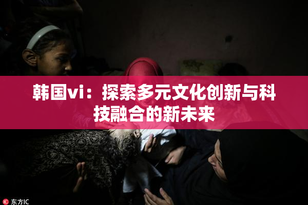 韩国vi：探索多元文化创新与科技融合的新未来