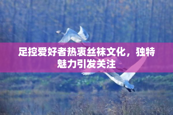 足控爱好者热衷丝袜文化，独特魅力引发关注