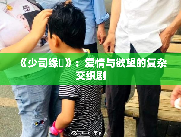 《少司缘婬》：爱情与欲望的复杂交织剧