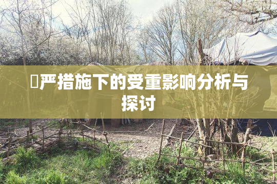 囯严措施下的受重影响分析与探讨