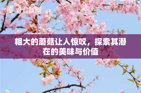 粗大的蘑菇让人惊叹，探索其潜在的美味与价值