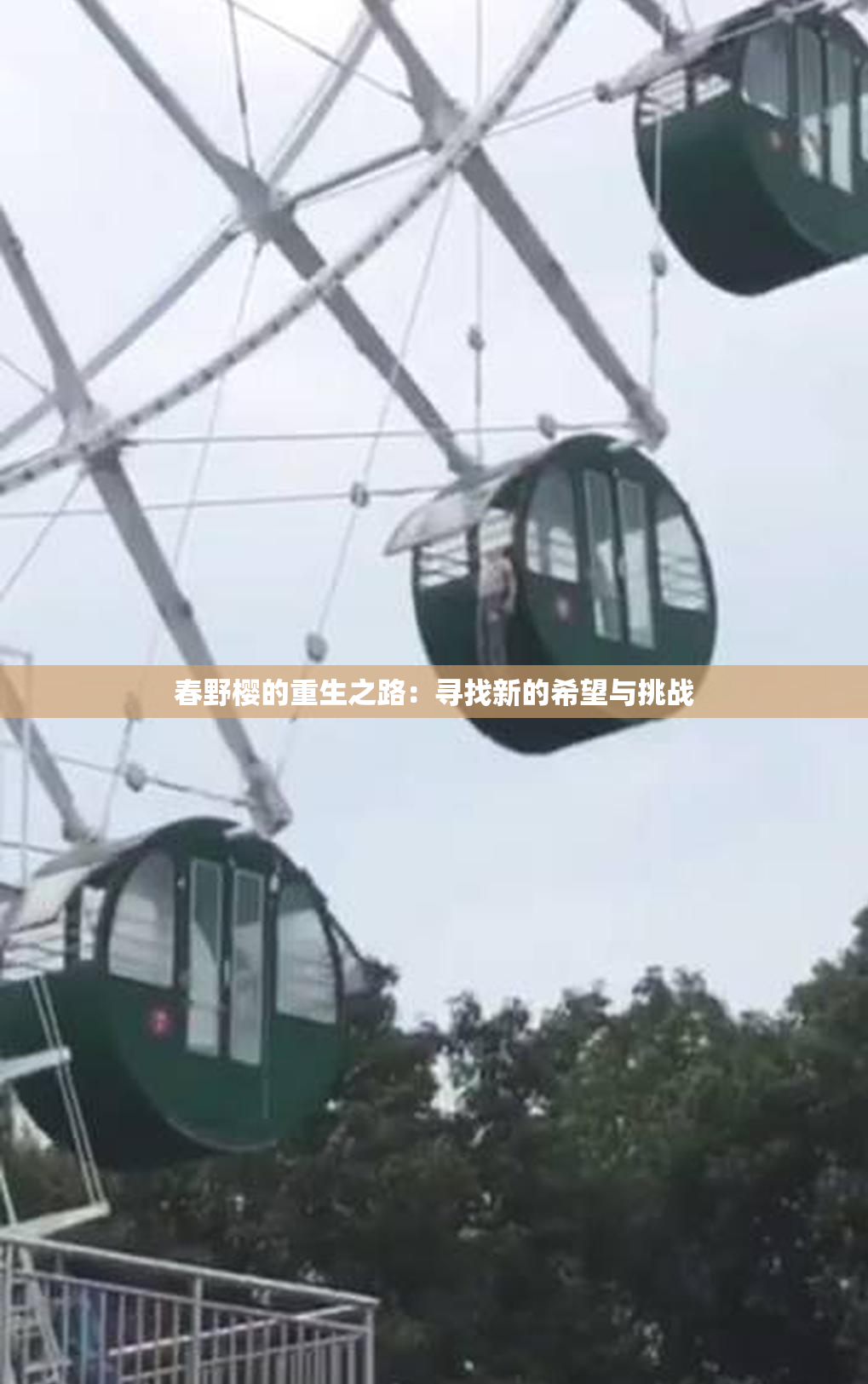 春野樱的重生之路：寻找新的希望与挑战