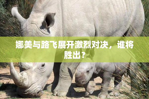娜美与路飞展开激烈对决，谁将胜出？