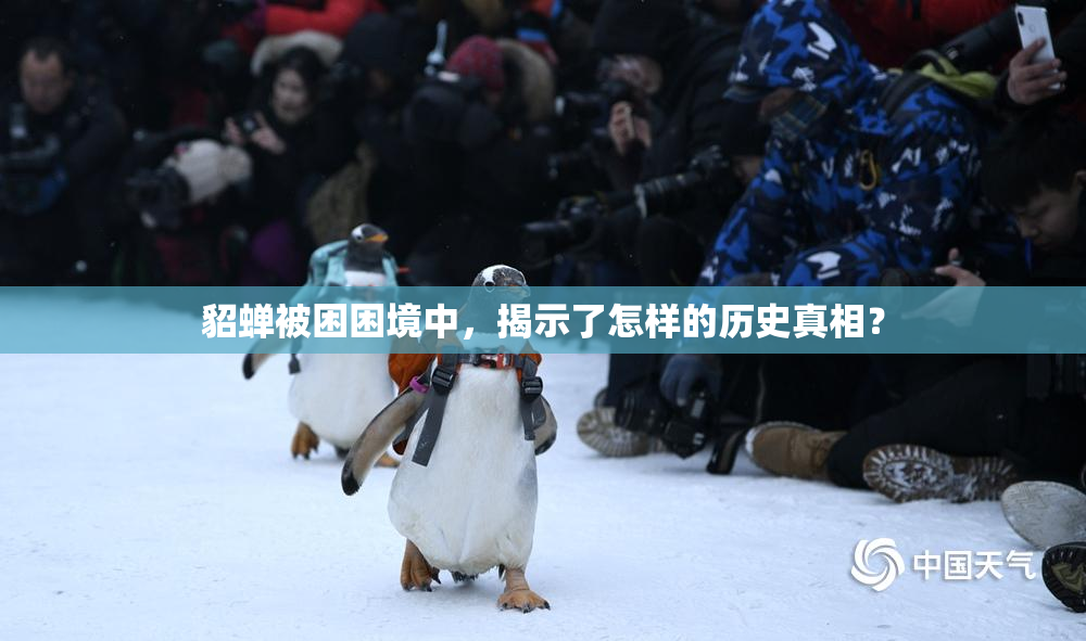 貂蝉被困困境中，揭示了怎样的历史真相？