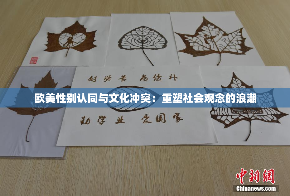 欧美性别认同与文化冲突：重塑社会观念的浪潮