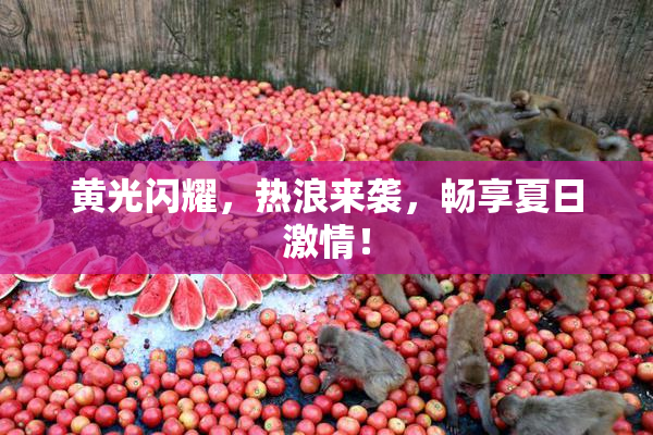 黄光闪耀，热浪来袭，畅享夏日激情！
