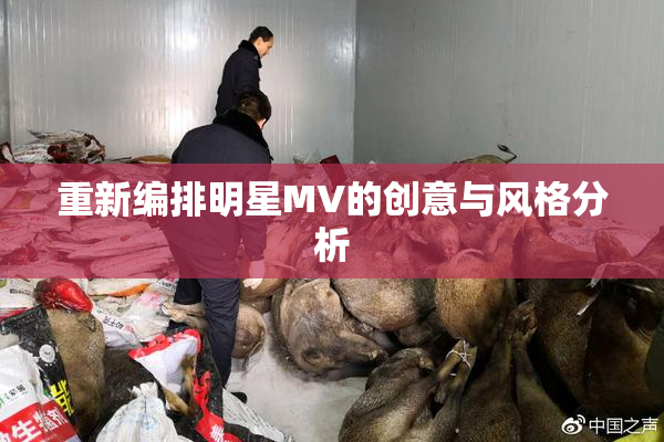 重新编排明星MV的创意与风格分析
