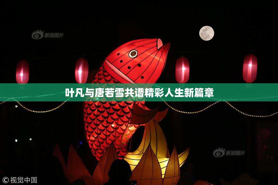 叶凡与唐若雪共谱精彩人生新篇章