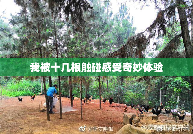 我被十几根触碰感受奇妙体验