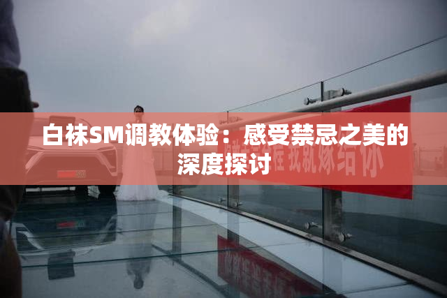 白袜SM调教体验：感受禁忌之美的深度探讨
