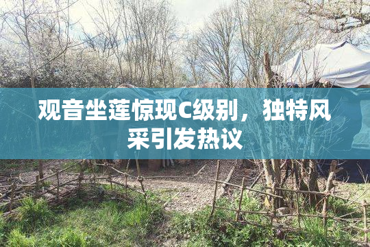 观音坐莲惊现C级别，独特风采引发热议
