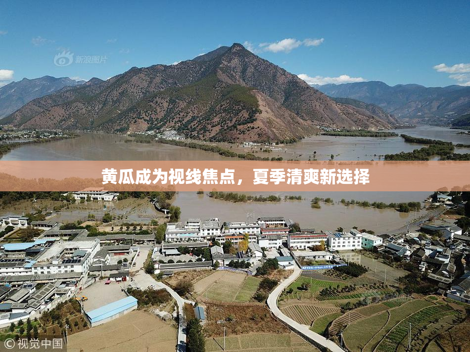 黄瓜成为视线焦点，夏季清爽新选择