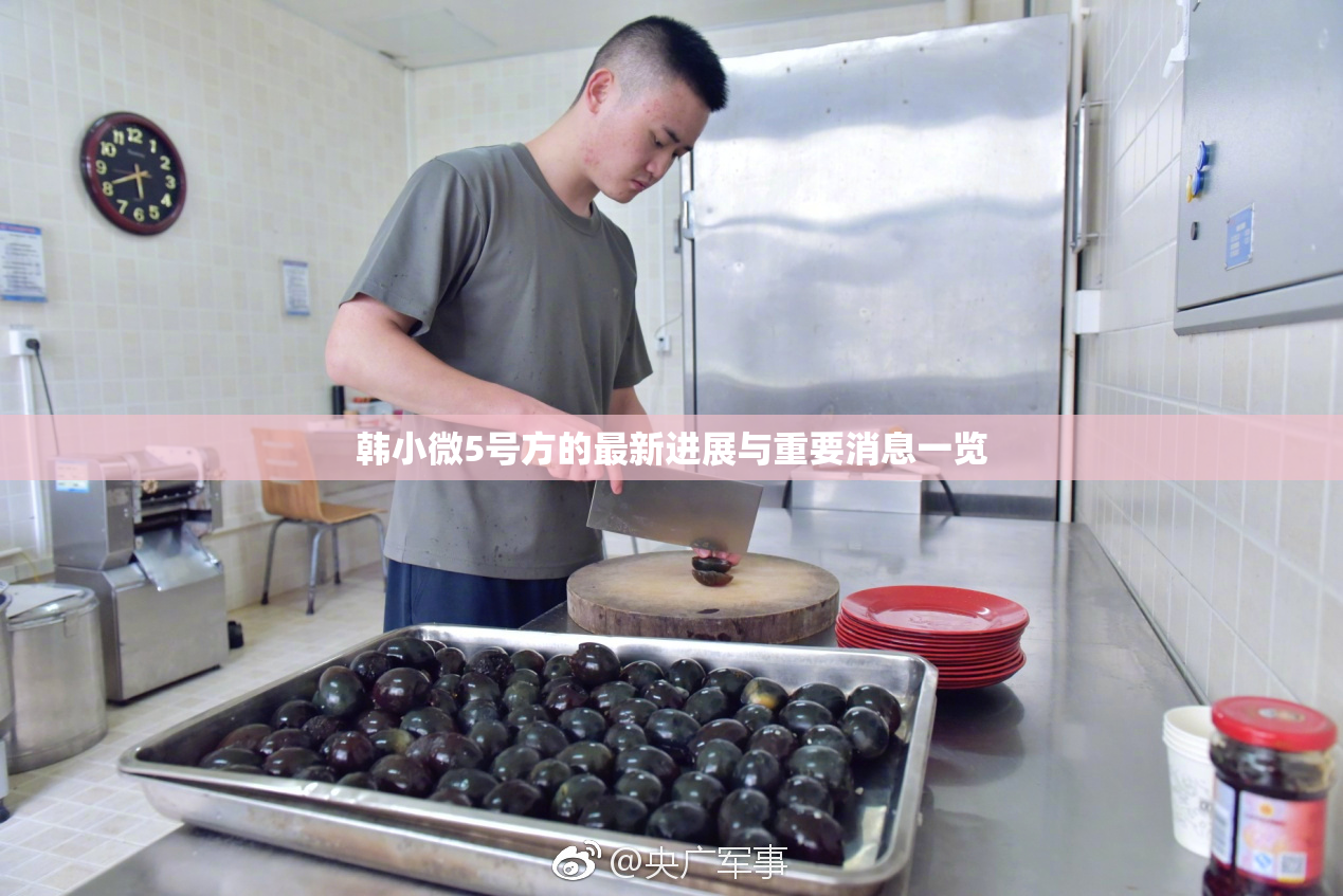 韩小微5号方的最新进展与重要消息一览