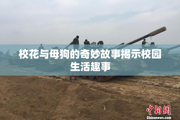 校花与母狗的奇妙故事揭示校园生活趣事