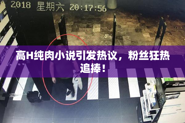 高H纯肉小说引发热议，粉丝狂热追捧！
