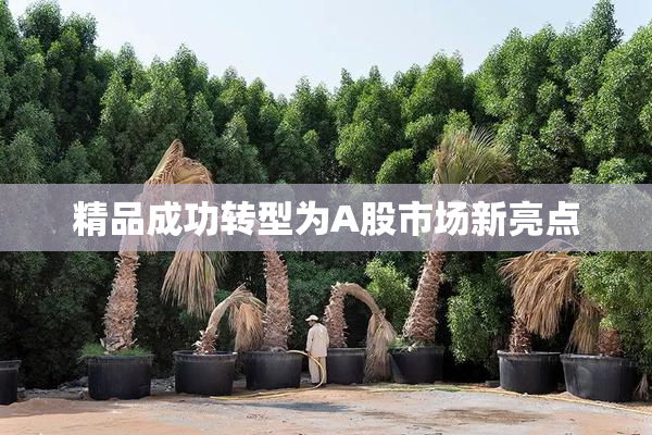 精品成功转型为A股市场新亮点