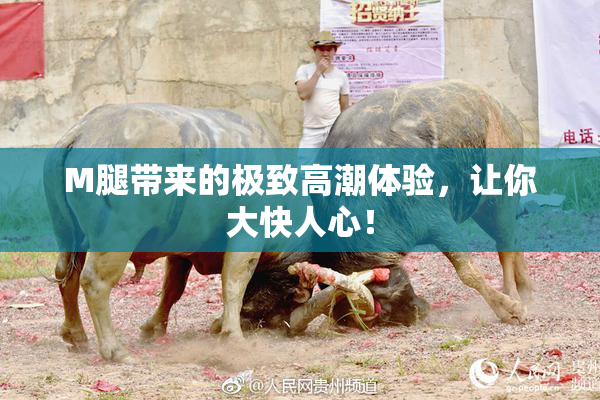 M腿带来的极致高潮体验，让你大快人心！