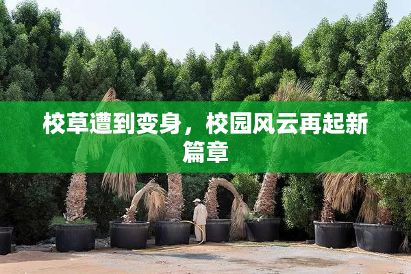 校草遭到变身，校园风云再起新篇章