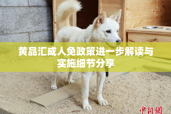 黄品汇成人免政策进一步解读与实施细节分享