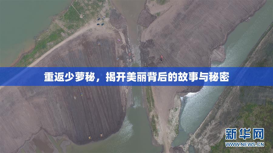 重返少萝秘，揭开美丽背后的故事与秘密