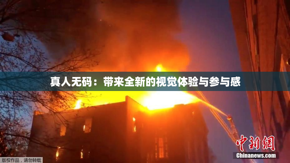 真人无码：带来全新的视觉体验与参与感