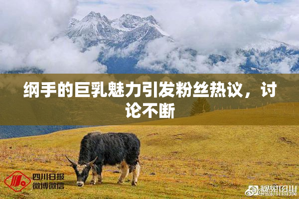 纲手的巨乳魅力引发粉丝热议，讨论不断